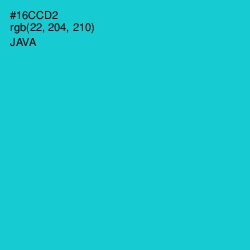 #16CCD2 - Java Color Image