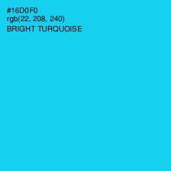 #16D0F0 - Bright Turquoise Color Image
