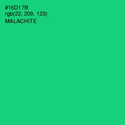 #16D17B - Malachite Color Image