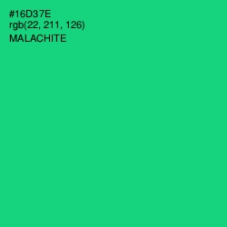 #16D37E - Malachite Color Image