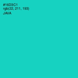 #16D3C1 - Java Color Image