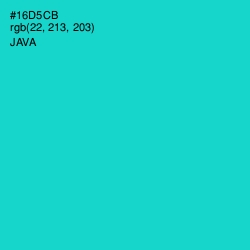 #16D5CB - Java Color Image