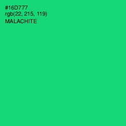 #16D777 - Malachite Color Image