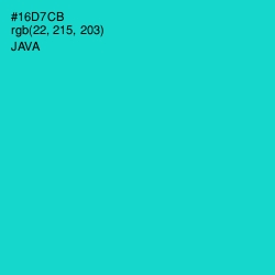 #16D7CB - Java Color Image