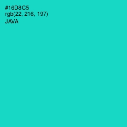 #16D8C5 - Java Color Image