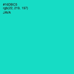 #16DBC5 - Java Color Image