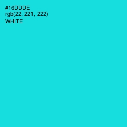 #16DDDE - Robin's Egg Blue Color Image