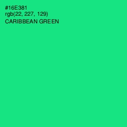 #16E381 - Caribbean Green Color Image