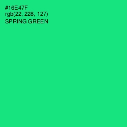 #16E47F - Spring Green Color Image