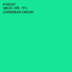 #16E497 - Caribbean Green Color Image