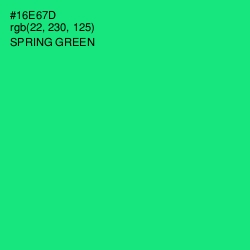#16E67D - Spring Green Color Image