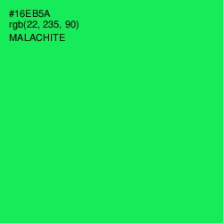 #16EB5A - Malachite Color Image