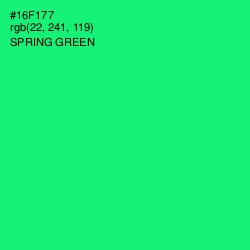 #16F177 - Spring Green Color Image