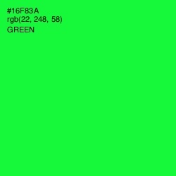 #16F83A - Green Color Image