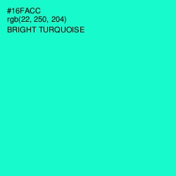 #16FACC - Bright Turquoise Color Image