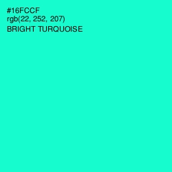 #16FCCF - Bright Turquoise Color Image