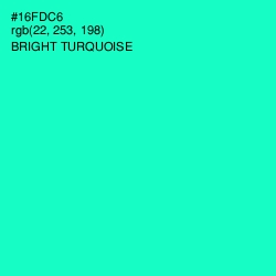 #16FDC6 - Bright Turquoise Color Image