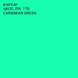 #16FEAF - Caribbean Green Color Image