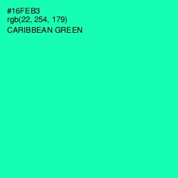 #16FEB3 - Caribbean Green Color Image