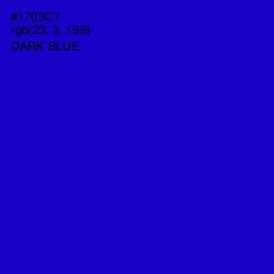 #1703C7 - Dark Blue Color Image