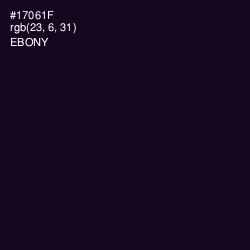 #17061F - Ebony Color Image