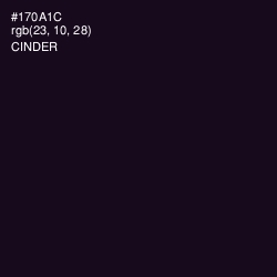 #170A1C - Cinder Color Image