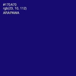 #170A70 - Arapawa Color Image