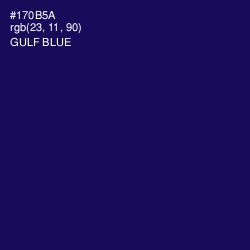 #170B5A - Gulf Blue Color Image