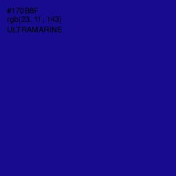 #170B8F - Ultramarine Color Image