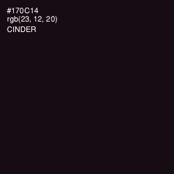 #170C14 - Cinder Color Image