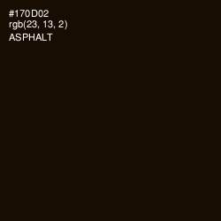 #170D02 - Asphalt Color Image