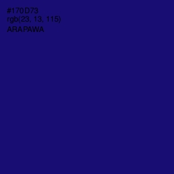 #170D73 - Arapawa Color Image