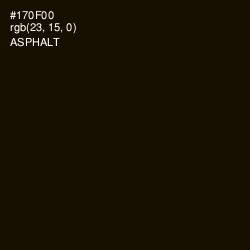 #170F00 - Asphalt Color Image