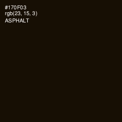 #170F03 - Asphalt Color Image