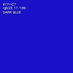 #1711C7 - Dark Blue Color Image