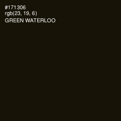 #171306 - Green Waterloo Color Image