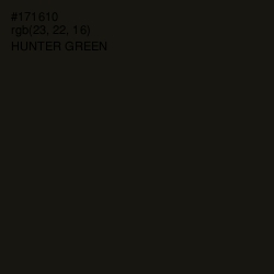 #171610 - Hunter Green Color Image