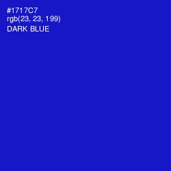#1717C7 - Dark Blue Color Image