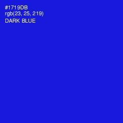 #1719DB - Dark Blue Color Image