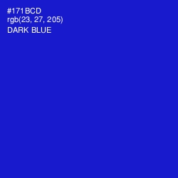 #171BCD - Dark Blue Color Image