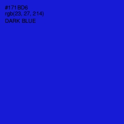 #171BD6 - Dark Blue Color Image