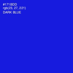 #171BDD - Dark Blue Color Image