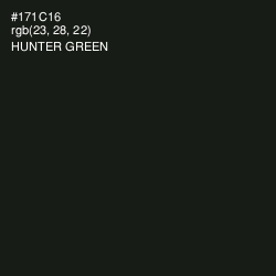 #171C16 - Hunter Green Color Image