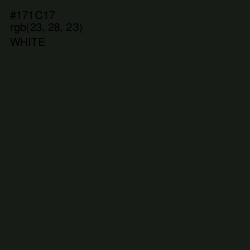 #171C17 - Hunter Green Color Image