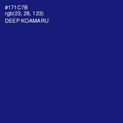#171C7B - Deep Koamaru Color Image