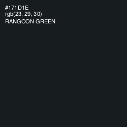 #171D1E - Rangoon Green Color Image