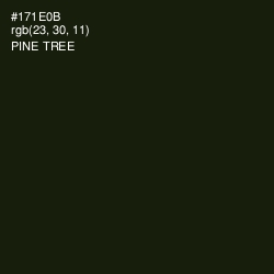 #171E0B - Pine Tree Color Image