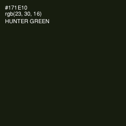 #171E10 - Hunter Green Color Image
