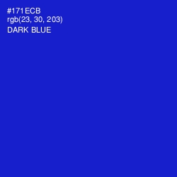 #171ECB - Dark Blue Color Image