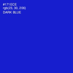 #171ECE - Dark Blue Color Image